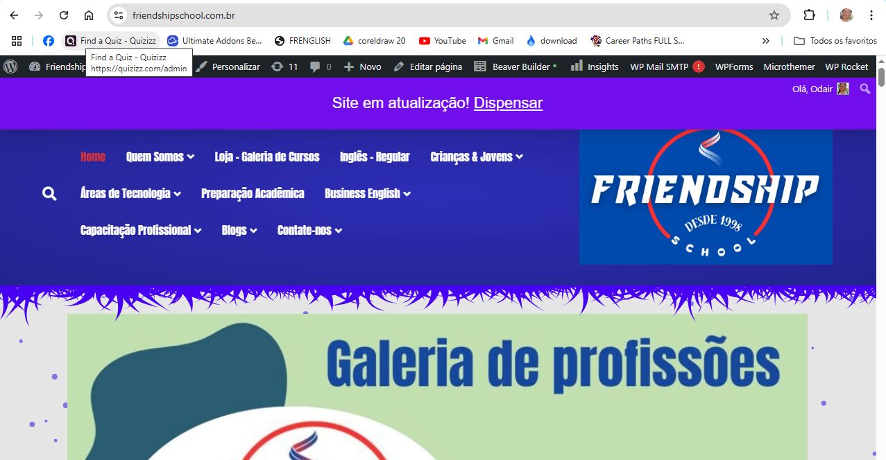 Vlr estimado do Site